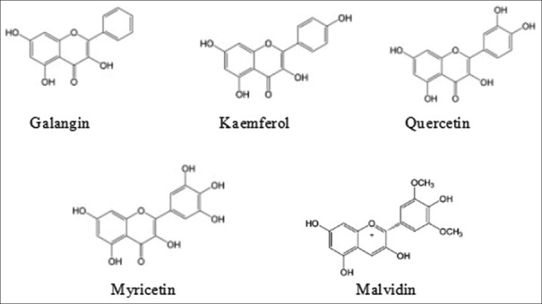 Antibacterial activity of hexane and methanol fractions of some selected plants against <i>Klebsiella pneumoniae</i>.