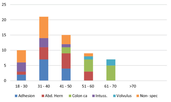 Acute Intestinal Obstruction: A 1-Year Prospective Audit into Causes.