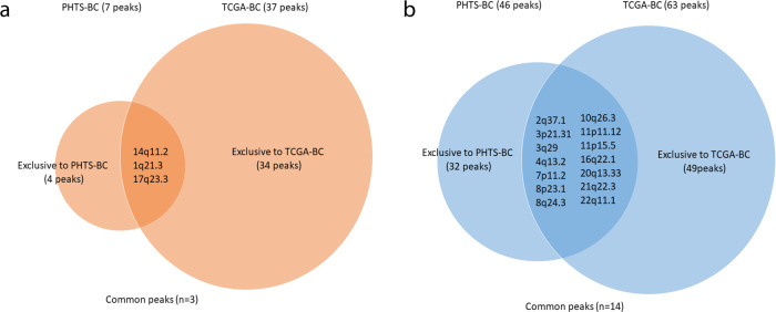 Integrating somatic CNV and gene expression in breast cancers from women with PTEN hamartoma tumor syndrome.