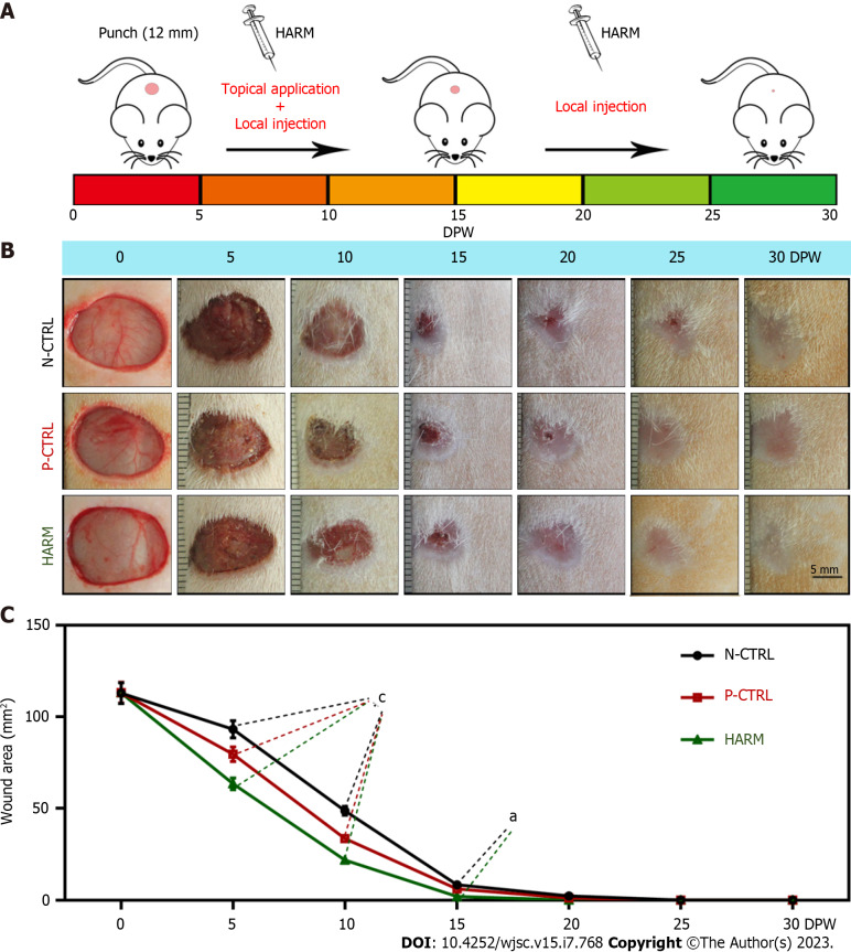 Injectable hydrogel made from antler mesenchyme matrix for regenerative wound healing <i>via</i> creating a fetal-like niche.