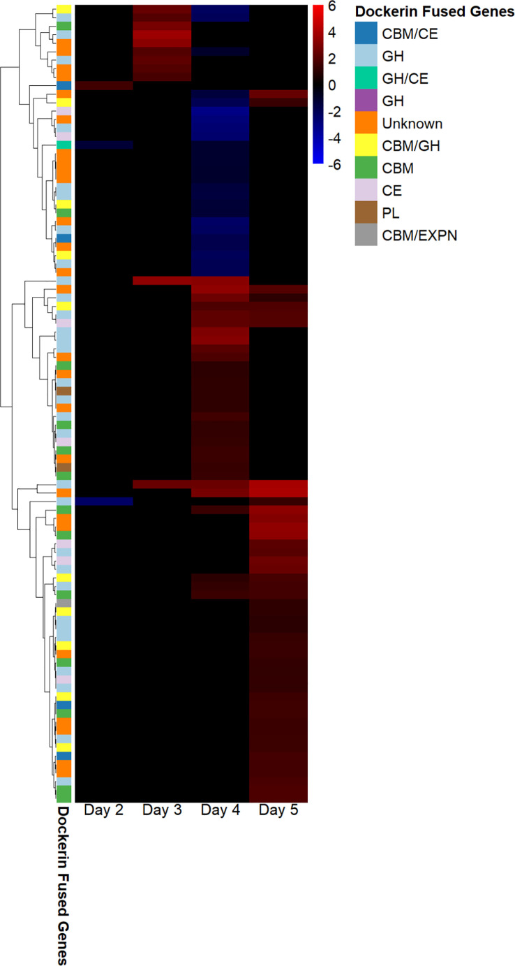 High-quality RNA extraction and the regulation of genes encoding cellulosomes are correlated with growth stage in anaerobic fungi.