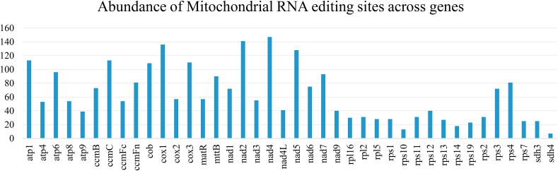 Mitochondrial RNA editing sites affect the phylogenetic reconstruction of gymnosperms