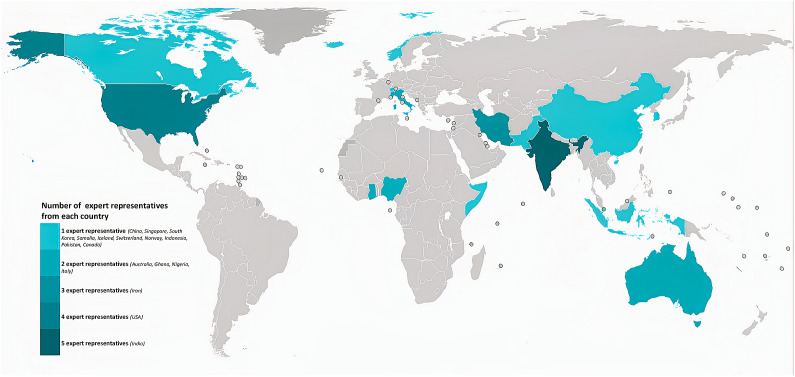 An online global survey and follow-up expert groups on the scope and needs related to training, research, and mentorship among early-career addiction medicine professionals.