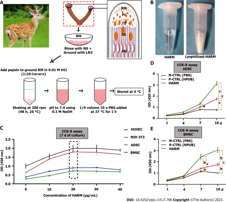 Injectable hydrogel made from antler mesenchyme matrix for regenerative wound healing <i>via</i> creating a fetal-like niche.