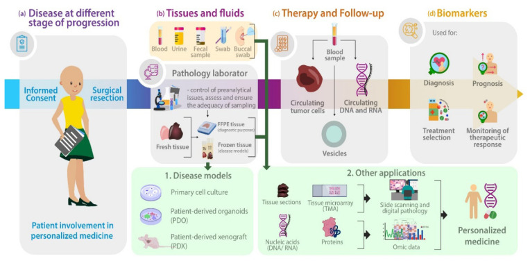 Current aspects in biobanking for personalized oncology investigations and treatments.