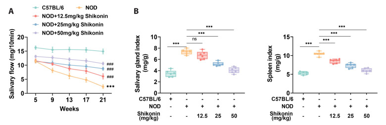 Shikonin ameliorates salivary gland damage and inflammation in a mouse model of Sjögren's syndrome by modulating MAPK signaling pathway.