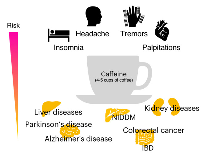 Does caffeine have a double-edged sword role in inflammation and carcinogenesis in the colon?