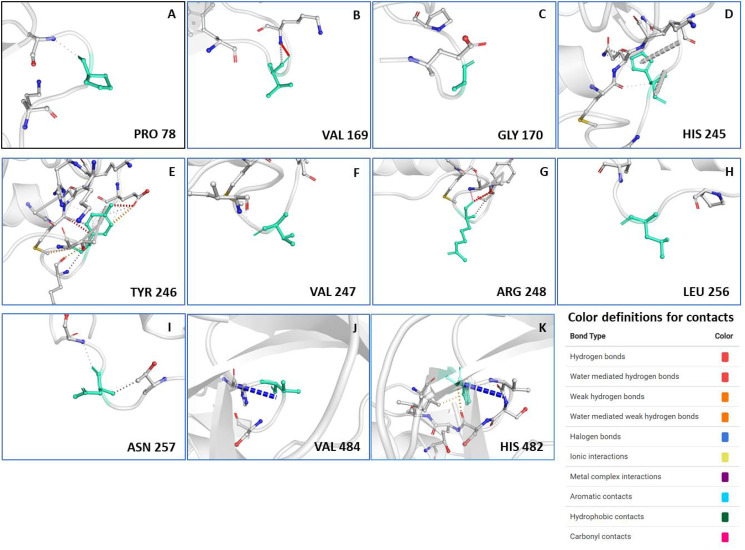 An immunoinformatics approach to study the epitopes of SARS-CoV-2 helicase, Nsp13