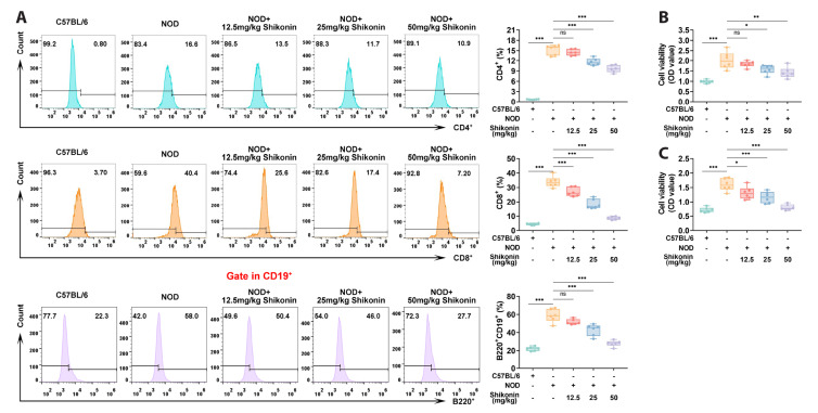 Shikonin ameliorates salivary gland damage and inflammation in a mouse model of Sjögren's syndrome by modulating MAPK signaling pathway.