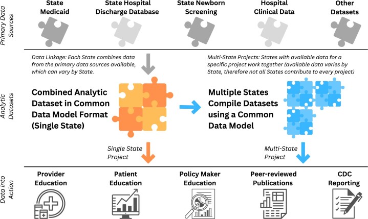 Common data model for sickle cell disease surveillance: considerations and implications.