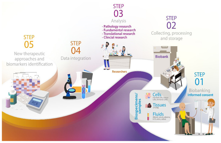 Current aspects in biobanking for personalized oncology investigations and treatments.