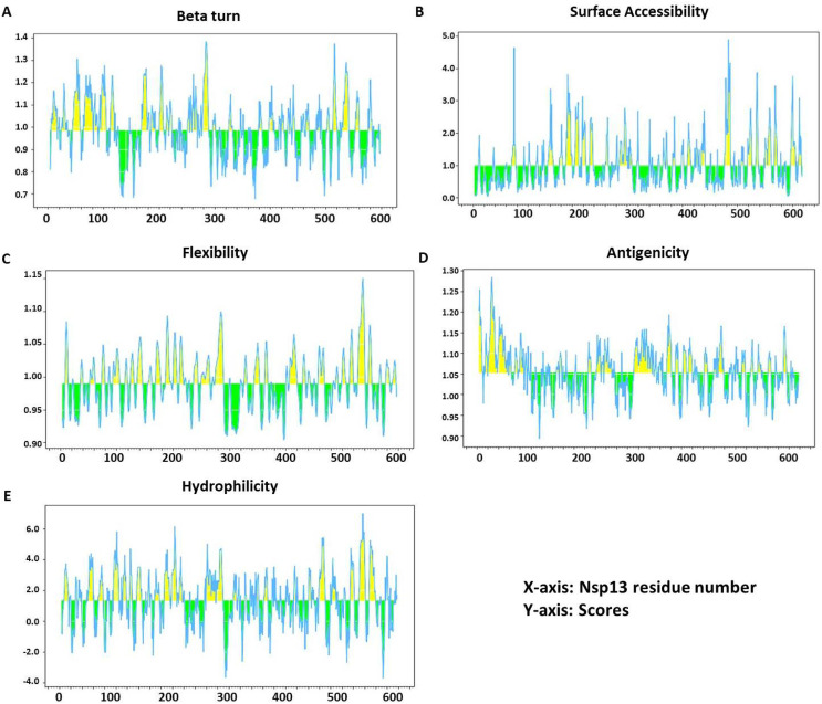 An immunoinformatics approach to study the epitopes of SARS-CoV-2 helicase, Nsp13