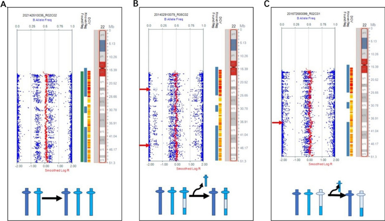 Characteristics and mechanisms of mosaicism in prenatal diagnosis cases by application of SNP array.