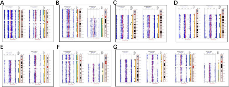 Characteristics and mechanisms of mosaicism in prenatal diagnosis cases by application of SNP array.