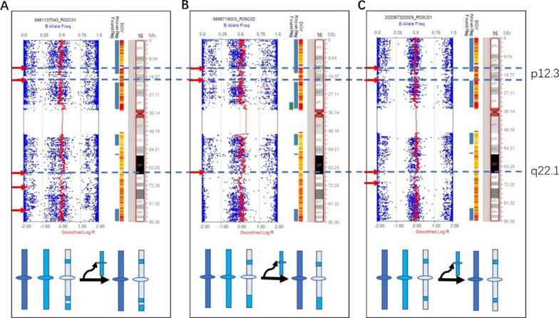 Characteristics and mechanisms of mosaicism in prenatal diagnosis cases by application of SNP array.