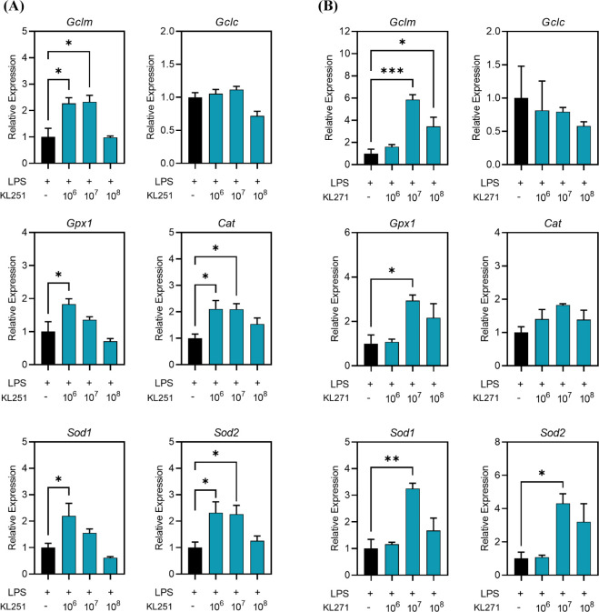 Probiotics that Ameliorate Cognitive Impairment through Anti-Inflammation and Anti-Oxidation in Mice.