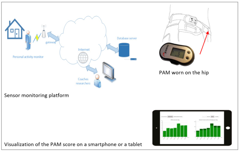 Perspectives of Rehabilitation Professionals on Implementing a Validated Home Telerehabilitation Intervention for Older Adults in Geriatric Rehabilitation: Multisite Focus Group Study.