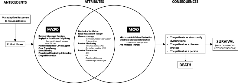 Critical care: A concept analysis