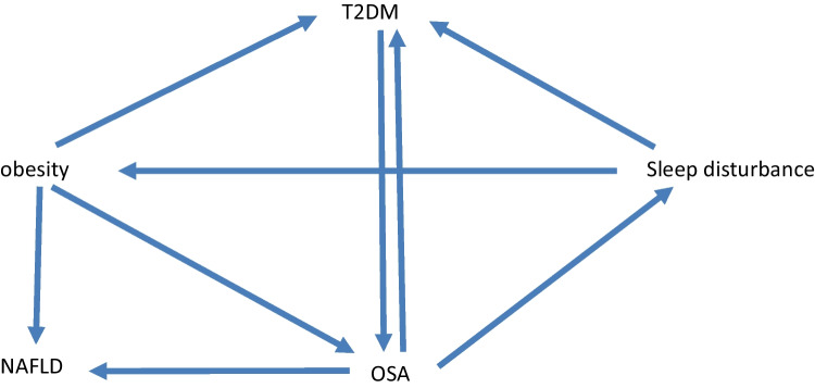 Sleep Apnea, Obesity, and Diabetes - an Intertwined Trio.