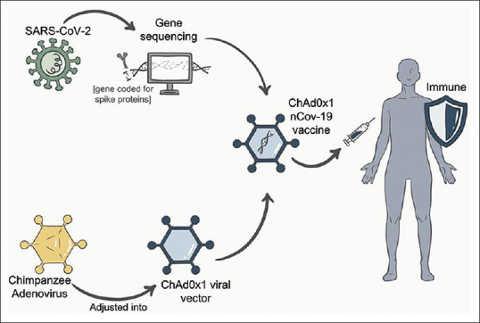 Management of coronavirus disease 2019 vaccine-induced cutaneous complications: A comprehensive literature review.