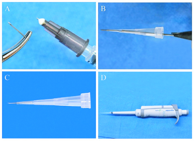 A Novel and Low-cost Approach for Intravitreal Injection in an Experimental Model of Endophthalmitis.