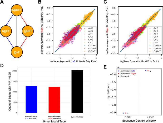 Regularized sequence-context mutational trees capture variation in mutation rates across the human genome.