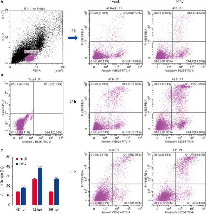 Inhibition of caspase-1-dependent apoptosis suppresses peste des petits ruminants virus replication.