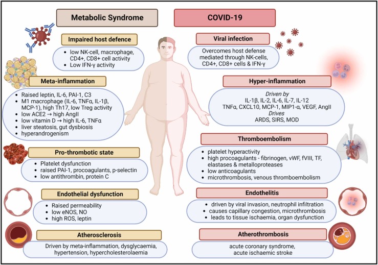 COVID-19 and metabolic syndrome