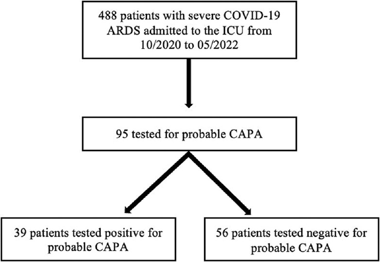 COVID-19-associated pulmonary aspergillosis in patients with severe SARS-CoV-2 infection: A single-center observational study from Greece.