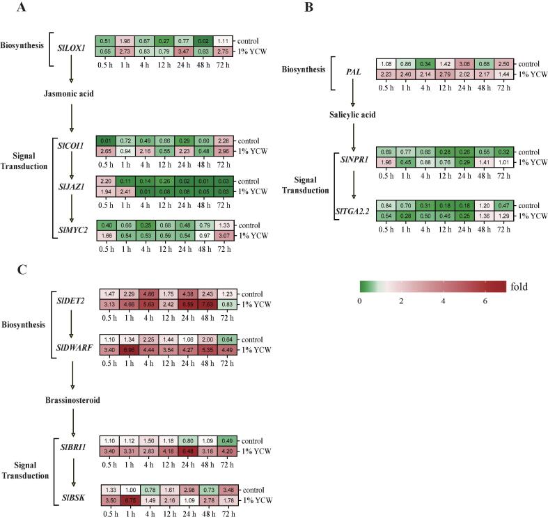 Analysis of metabolic and transcription levels provides insights into the interactions of plant hormones and crosstalk with MAPKs in the early signaling response of cherry tomato fruit induced by the yeast cell wall