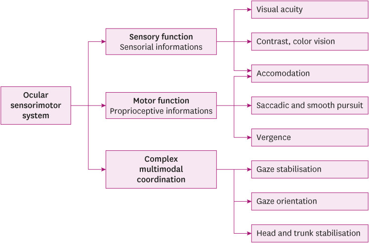 Post-Traumatic Craniocervical Disorders From a Postural Control Perspective: A Narrative Review.