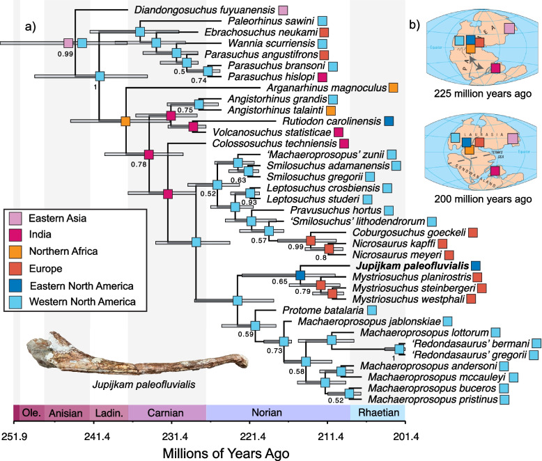 A late-surviving phytosaur from the northern Atlantic rift reveals climate constraints on Triassic reptile biogeography.