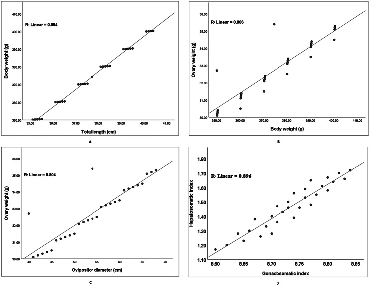 Comparative study of ovarian development in wild and captive-reared long-whiskered Sperata aor (Hamilton, 1822).