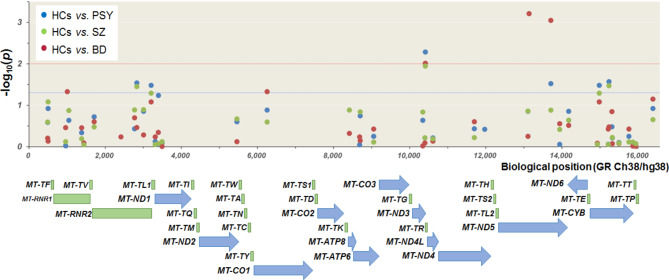 Mitochondrial genetic variants associated with bipolar disorder and Schizophrenia in a Japanese population.