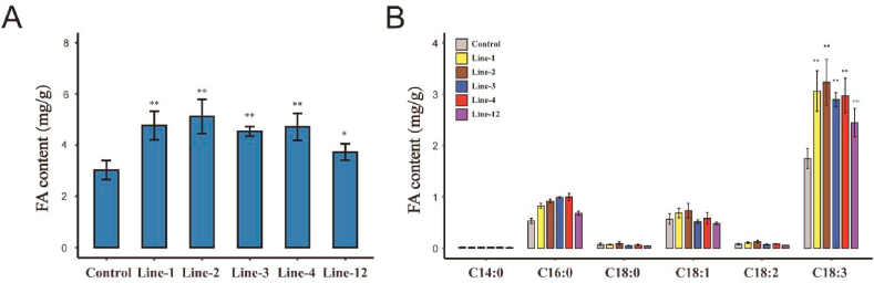 The molecular mechanism of WRINKLED1 transcription factor regulating oil accumulation in developing seeds of castor bean