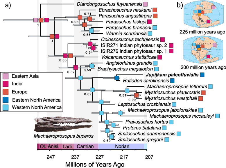 A late-surviving phytosaur from the northern Atlantic rift reveals climate constraints on Triassic reptile biogeography.