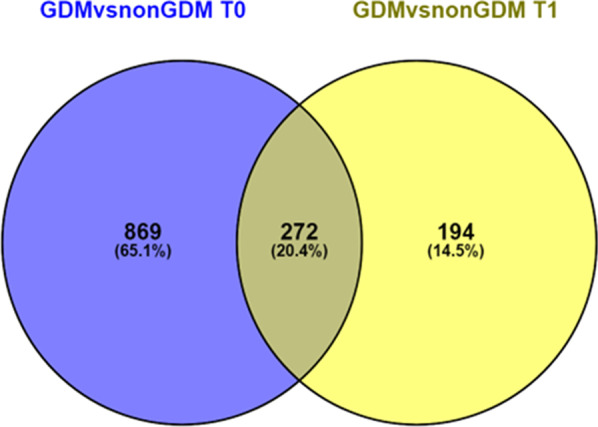 Epigenetic marks associated with gestational diabetes mellitus across two time points during pregnancy.