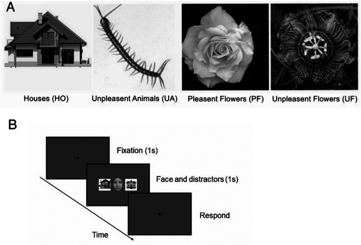 The background assimilation effect: Facial emotional perception is affected by surrounding stimuli.