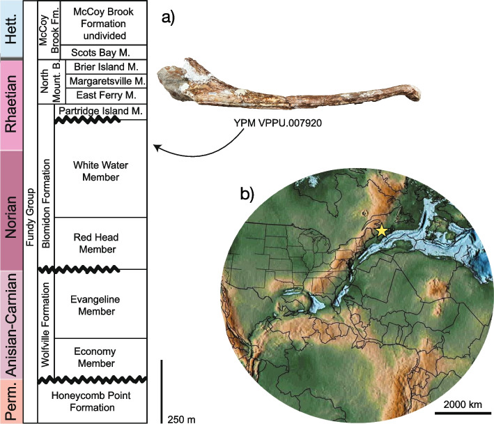 A late-surviving phytosaur from the northern Atlantic rift reveals climate constraints on Triassic reptile biogeography.