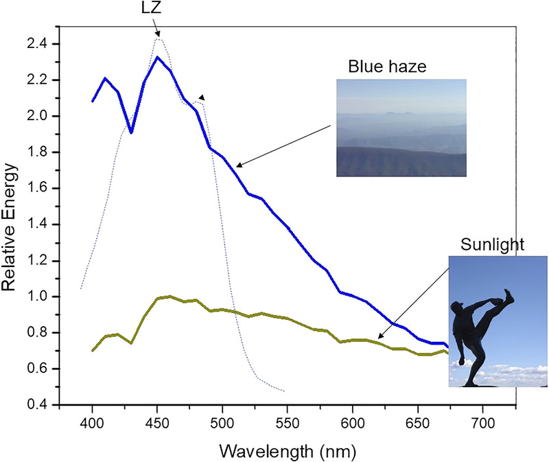 A Dietary Strategy for Optimizing the Visual Range of Athletes.