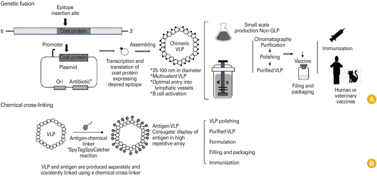 Perspective vaccines for emerging viral diseases in farm animals.