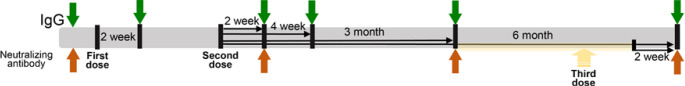 Antibody response to COVID-19 vaccination in patients on chronic hemodialysis.