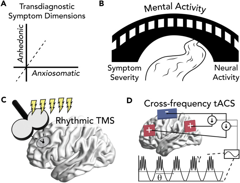 Mental Activity as the Bridge between Neural Biomarkers and Symptoms of Psychiatric Illness.