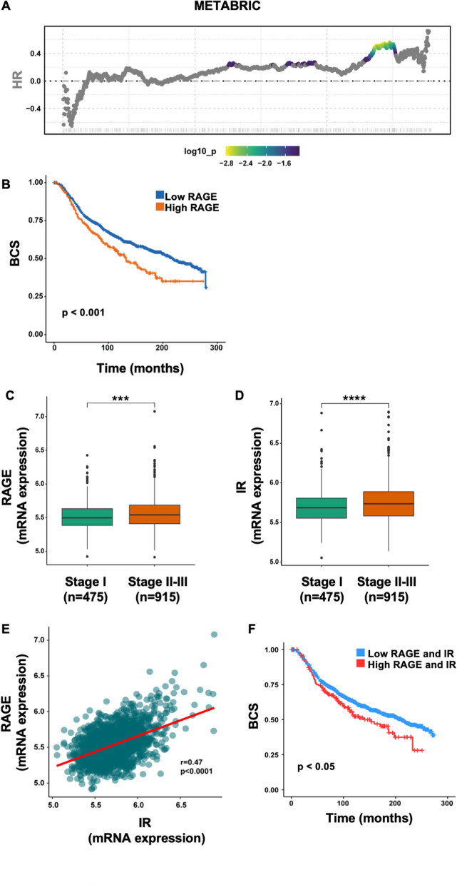 RAGE inhibition blunts insulin-induced oncogenic signals in breast cancer.