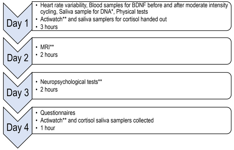 Physical exercise augmented cognitive behaviour therapy for older adults with generalised anxiety disorder (PEXACOG): a feasibility study for a randomized controlled trial.