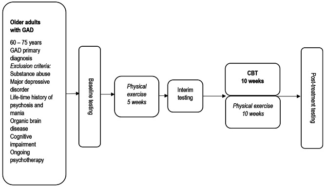 Physical exercise augmented cognitive behaviour therapy for older adults with generalised anxiety disorder (PEXACOG): a feasibility study for a randomized controlled trial.