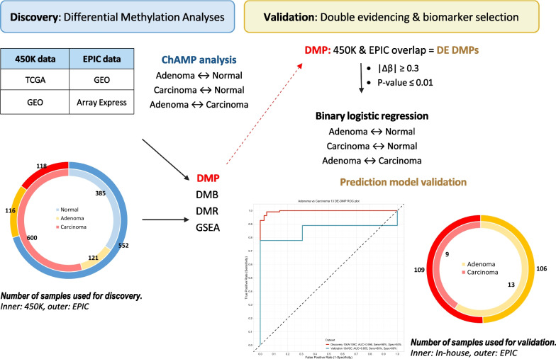 Epigenome-wide methylation analysis of colorectal carcinoma, adenoma and normal tissue reveals novel biomarkers addressing unmet clinical needs.