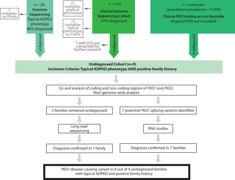 Atypical splicing variants in PKD1 explain most undiagnosed typical familial ADPKD.