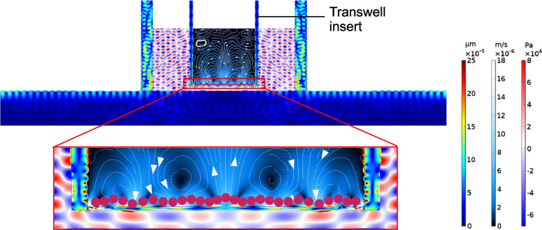 Open source board based acoustofluidic transwells for reversible disruption of the blood-brain barrier for therapeutic delivery.