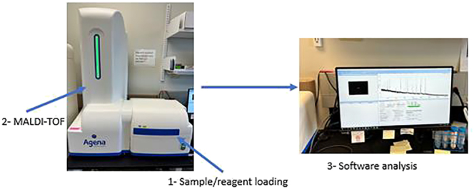 Performance of MassARRAY system for the detection of SARS-CoV-2 compared to real-time PCR.